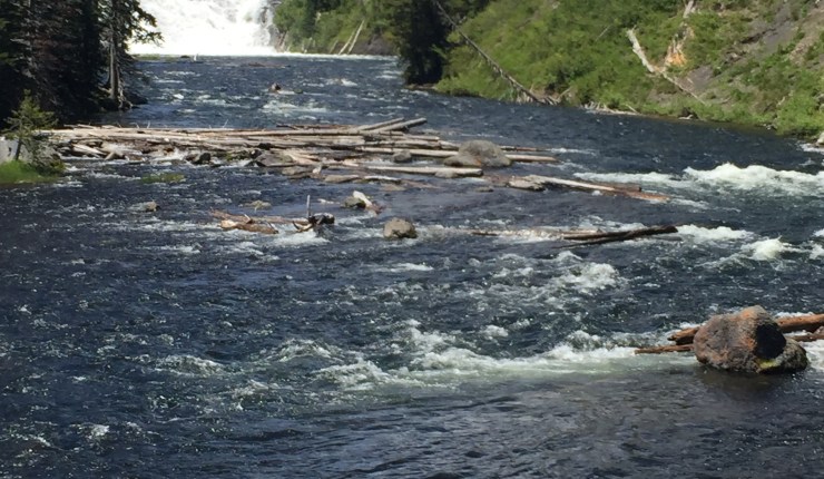 Take This Personally (d)